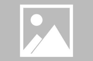 英雄联盟赛事官网-【美职业】圣何塞地震vs圣地亚哥FC首发阵容名单(2025年08月18日)